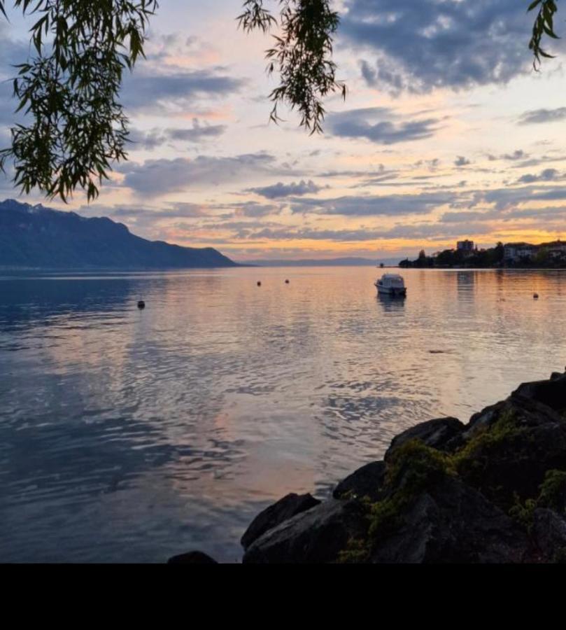 Nid Douillet A Deux Pas Du Lac Кларанс Экстерьер фото
